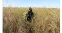Маскировочный халат Taganrog Кикимора – купить по цене 3550 руб. в интернет-магазине в городе Набережные Челны картинка 13